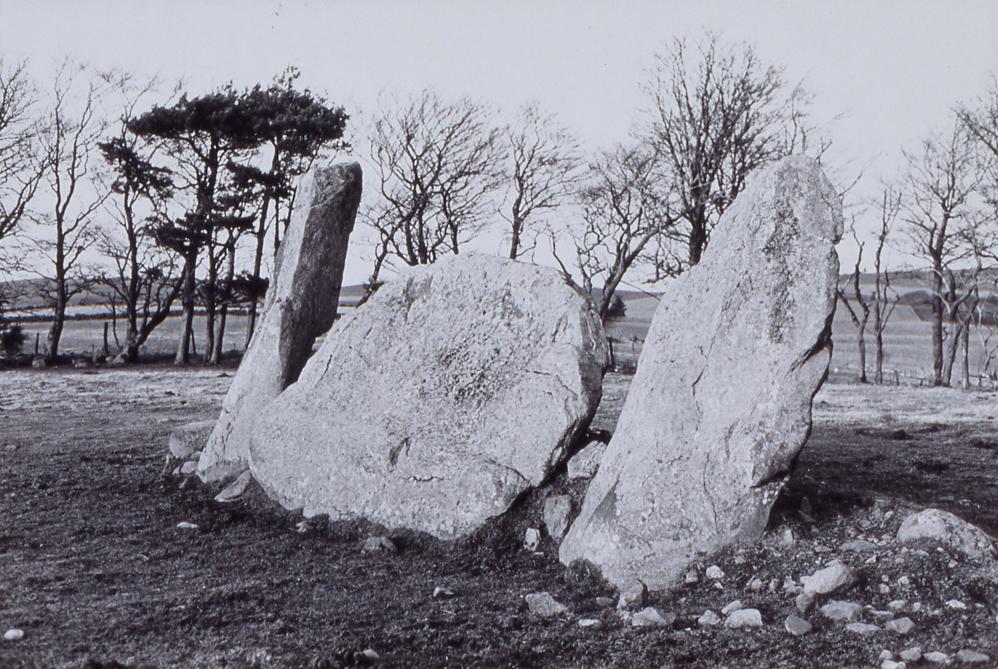 A black and white photograph of three large stones standing upright in the grass. A row of trees lines the field these sit in and the horizon stretches out behind the stones.